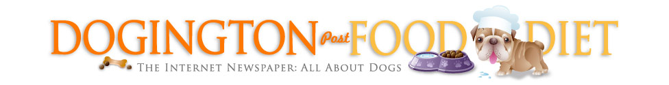 DP_Header_FOODv3.jpg
