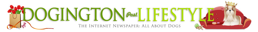 DP_Header_LIFESTYLEv3.jpg