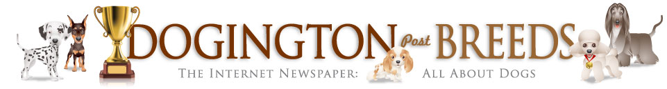 DP_Headers_BREEDSv2.jpg