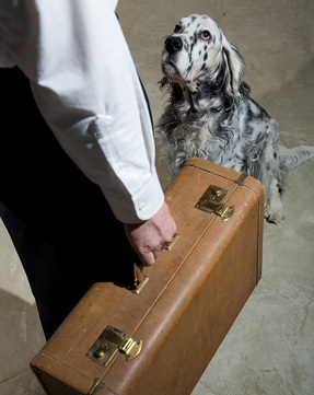 bigstock_Leaving_7610719