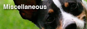 Miscellaneous Group