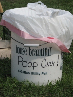 dog poop photo by