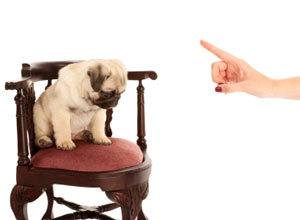 iStock_000018117500XSmall