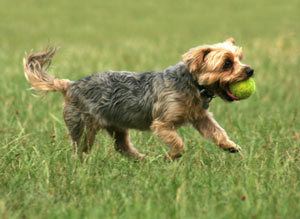 iStock_000002009502XSmall