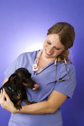 Beginner’s Guide to Vaccinating Puppies