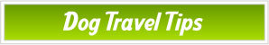 Dog Travel Tips