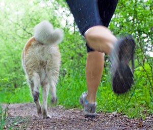 exercisewithdog