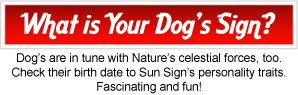Dog Sun Signs Horoscopes