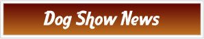 Dog Show News