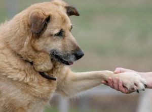 handhold