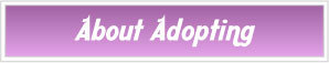 About Adopting