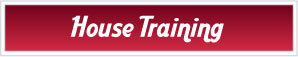 House Training