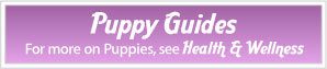 Puppy Guides