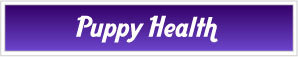 Puppy Health