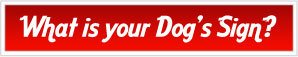Dog Sun Signs Horoscopes