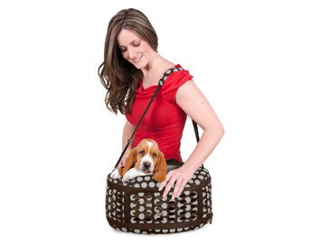 Petmate Curvations Underseat Traveler