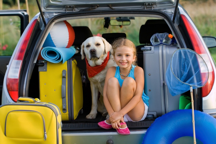 Planning A Road Trip With Your Dog The Dogington Post