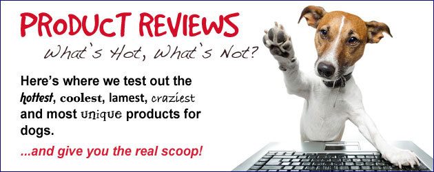 Product Reveiw Dept
