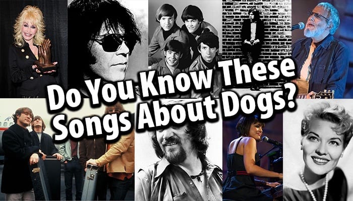 songs-about-dogs-you-have-to-hear-the-dogington-post