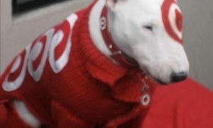 Targetdog