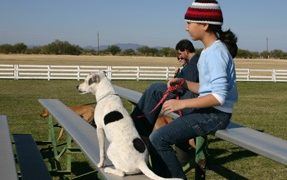 Therapy Dogs For Children