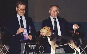 Are Dog Shows Creating Unhealthy Breeds?