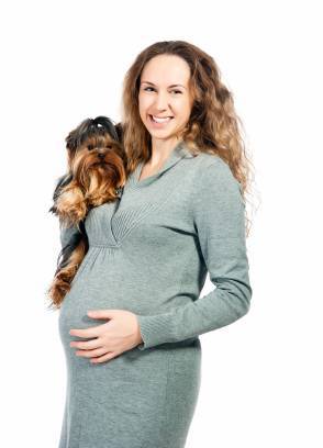 pregnant and my dog is acting weird