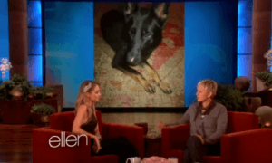 Ellenshow