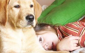 Teaching Kids How To Behave Around Dogs