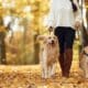 Woman On The Walk With Her Two Dogs In The Autumn Forest.