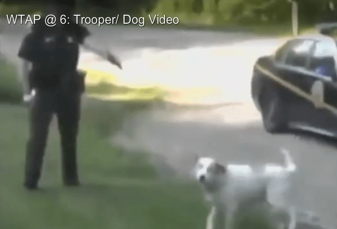 Woman Blocks Police Officer From Shooting Her Dog, Charged With ...