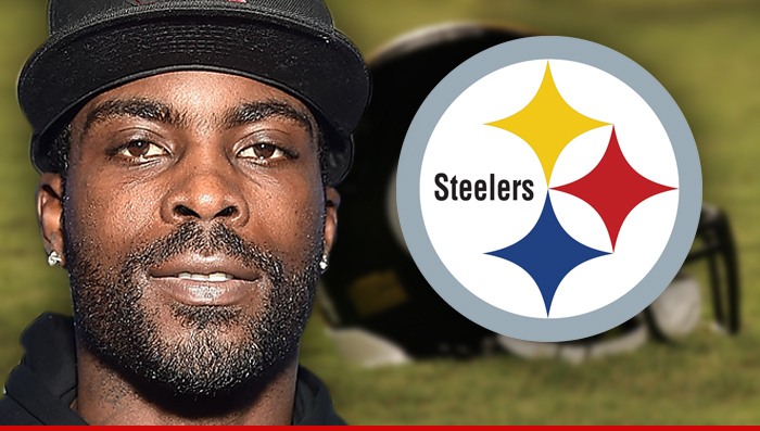 Pittsburgh Steelers quarterback Michael Vick faces perhaps his greatest  challenge. - Behind the Steel Curtain