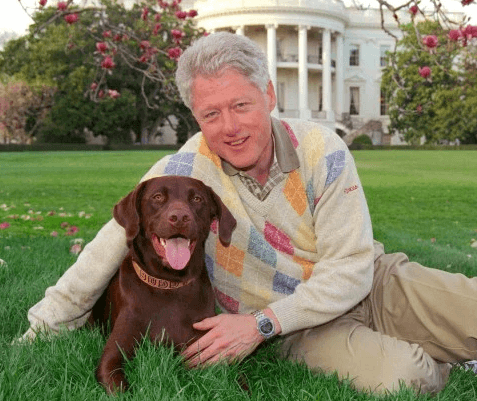 First Dogs: The Long Legacy of Dogs in the White House - The Dogington Post