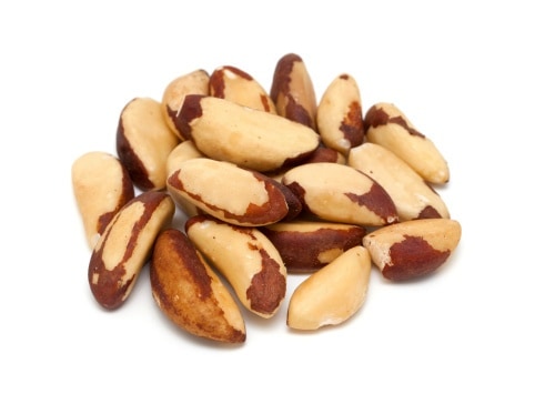 Is Your Dog Nuts About Nuts? Know the 