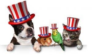 Patriotic Pets