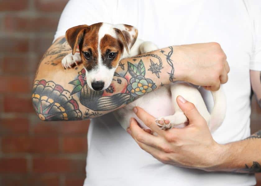 Explore the 50 Best dog Tattoo Ideas (2019) • Tattoodo