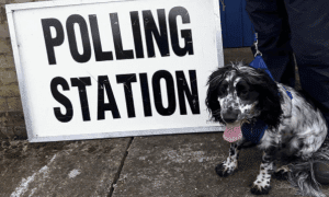 #Dogsatpollingstations