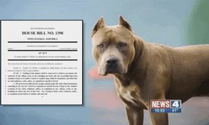 Breed Specific Legislation