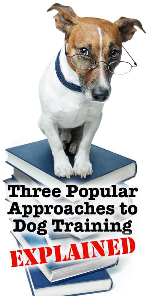 Three Popular Approaches To Dog Training Explained