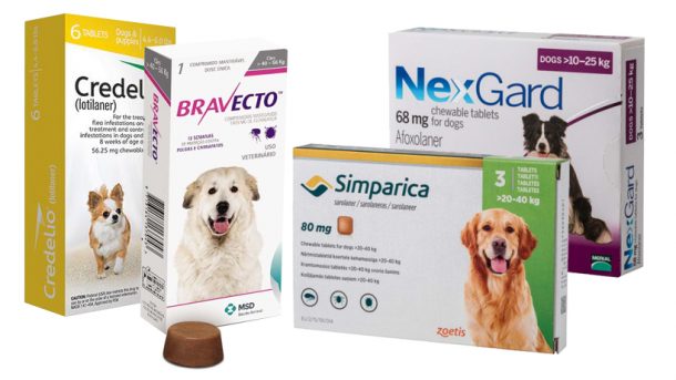 FDA WARNS: Flea and Tick Medications Linked to Seizures, Muscle Tremors ...