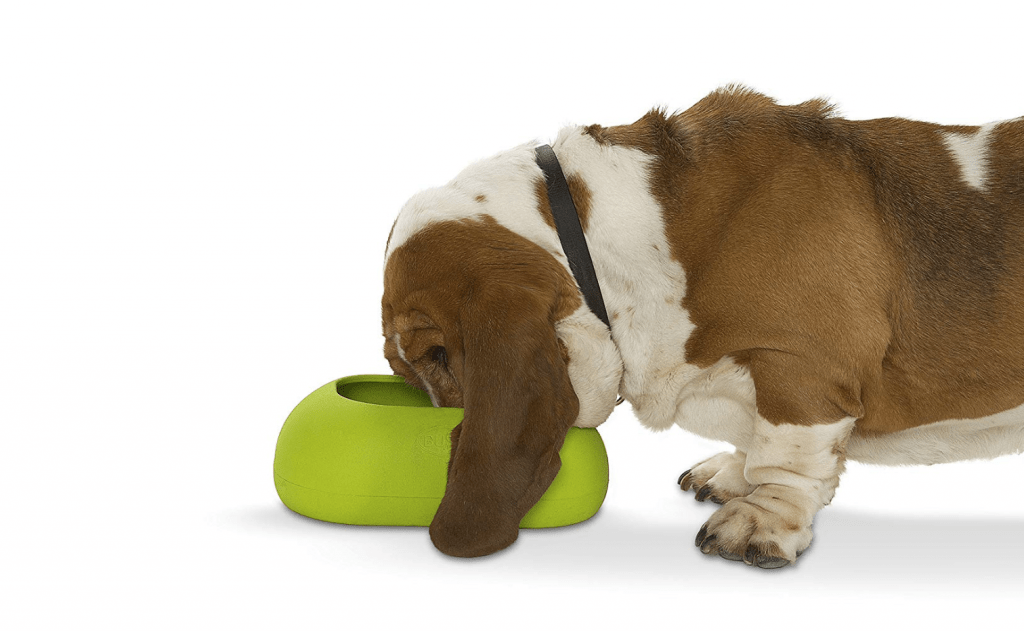 Choosing The Right Dog Food Bowl Yes It Matters The Dogington Post