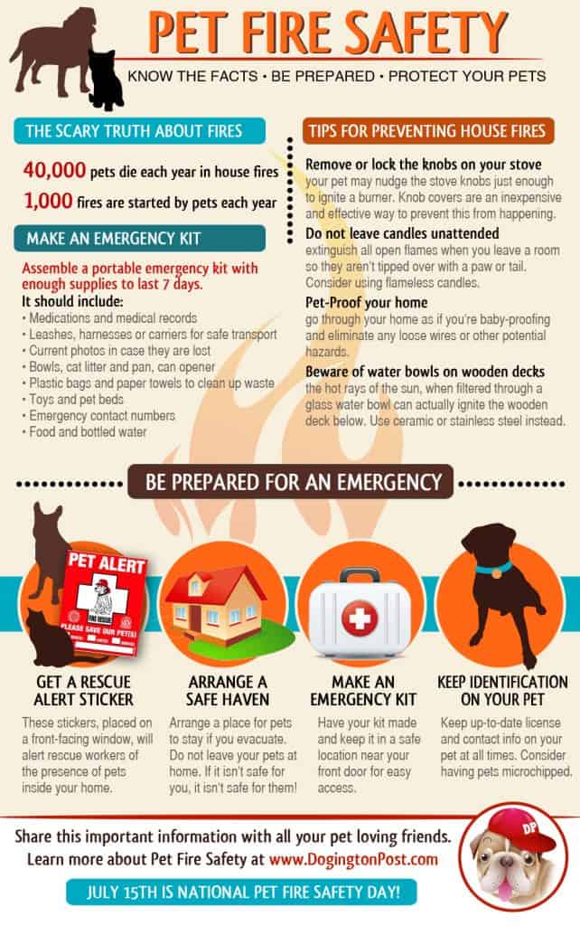 INFOGRAPHIC: Pet Fire Safety: Are You Prepared to Protect Your Pets?