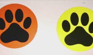 Paw Print Stickers