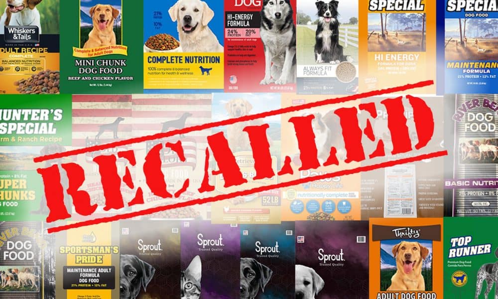 What Brands Of Dog Food Are On Recall