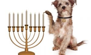 Hanukkah2