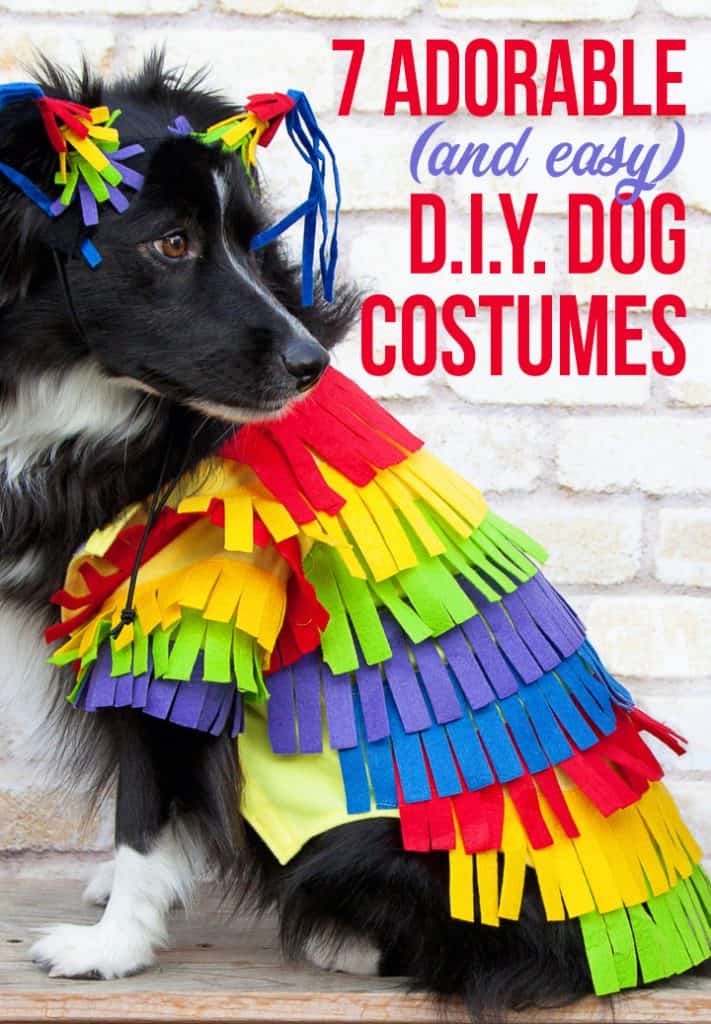 homemade costumes for dogs