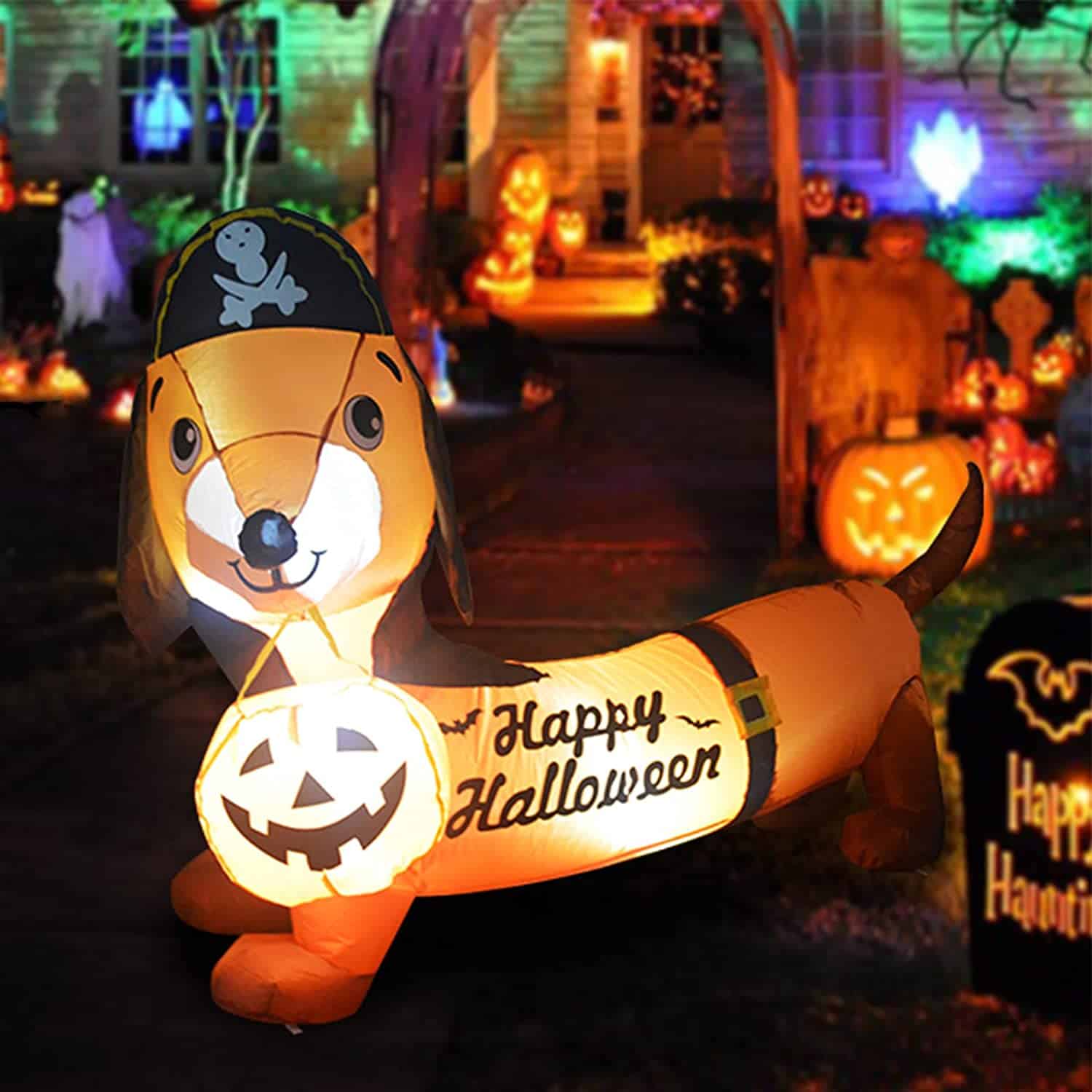 Halloween Decoration Ideas for Dog Lovers