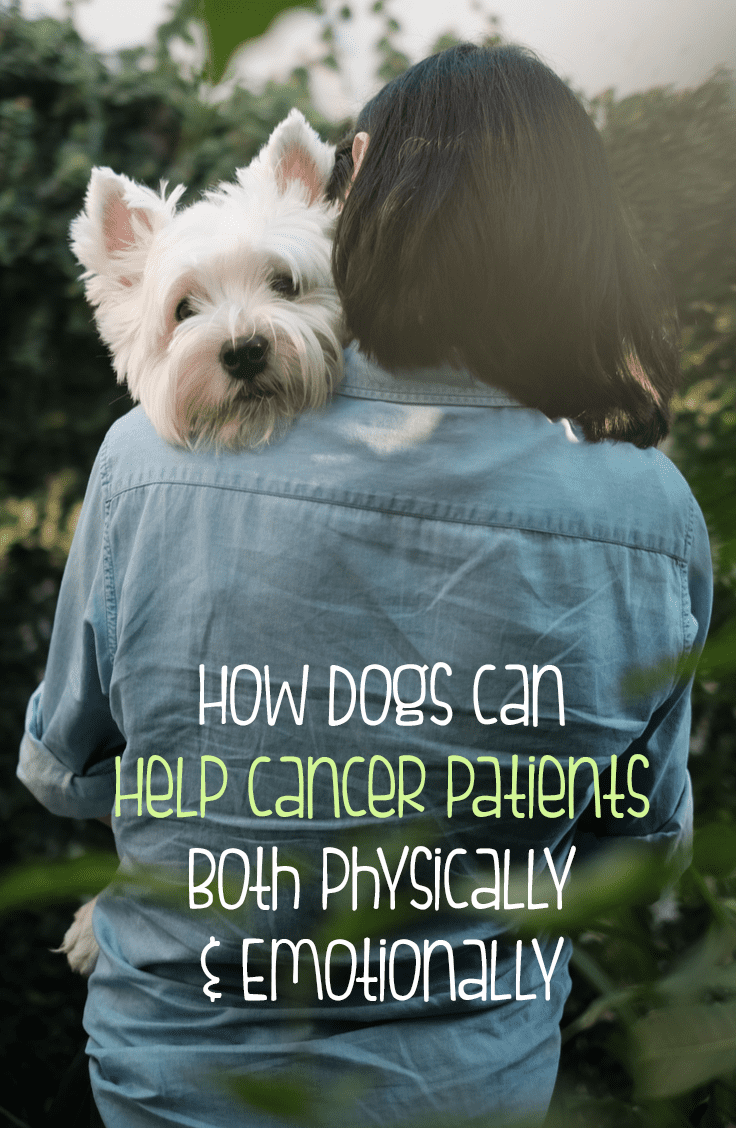 How Dogs Can Help Cancer Patients Both Physically And Emotionally