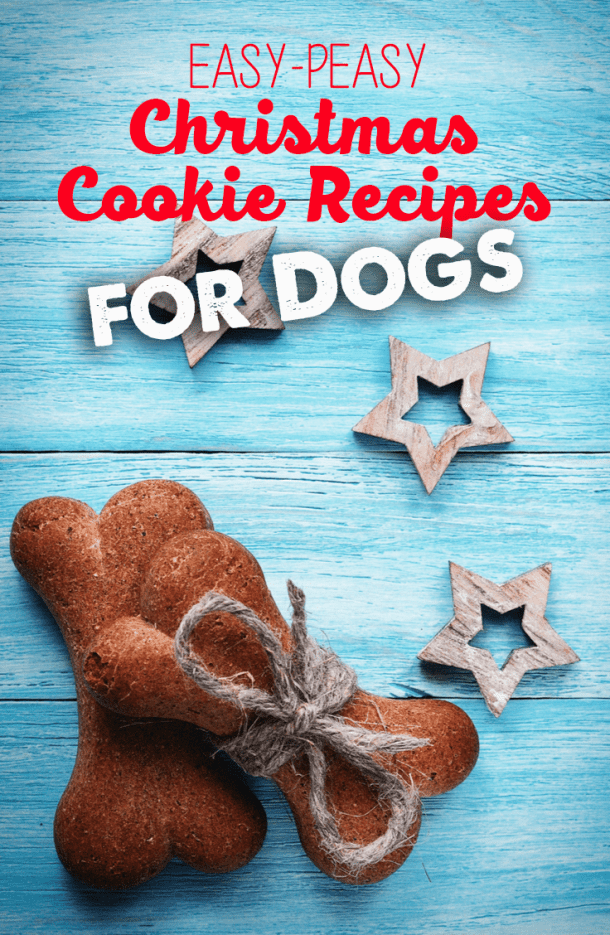 Easy-Peasy Christmas Cookie Recipes for Dogs - The Dogington Post