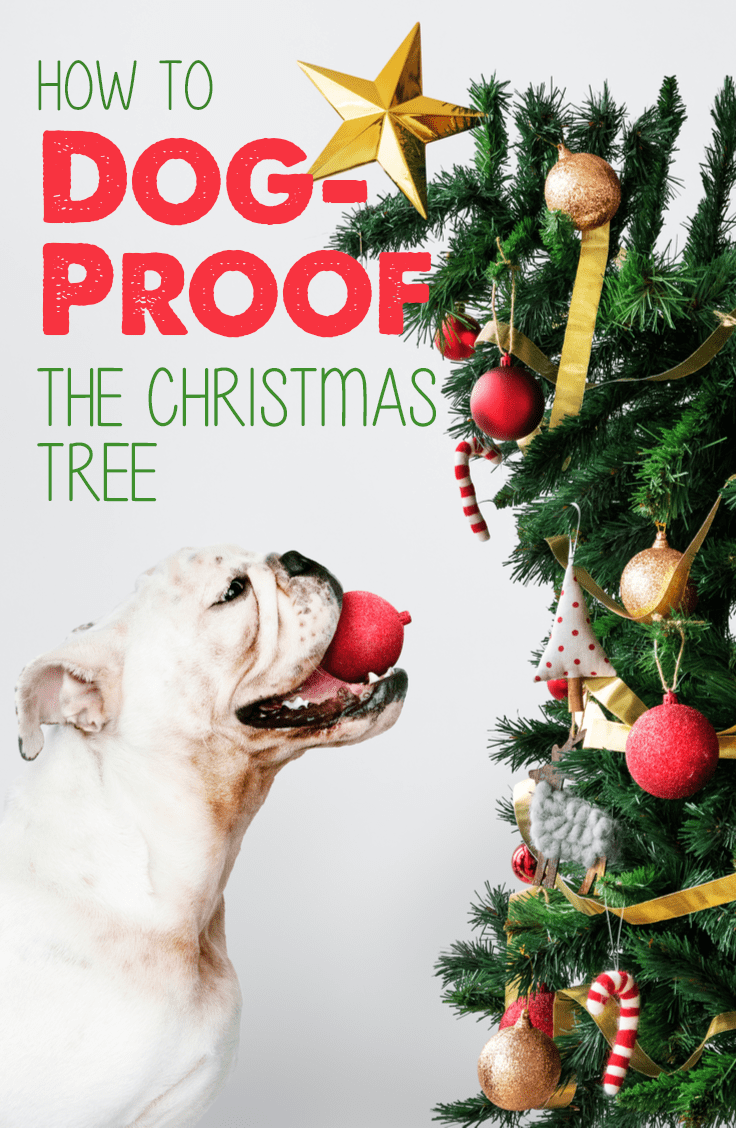 How to Dog-Proof the Christmas Tree